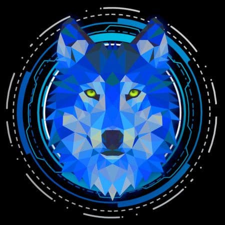 profile picture of camille HAUSTANT on GitHub