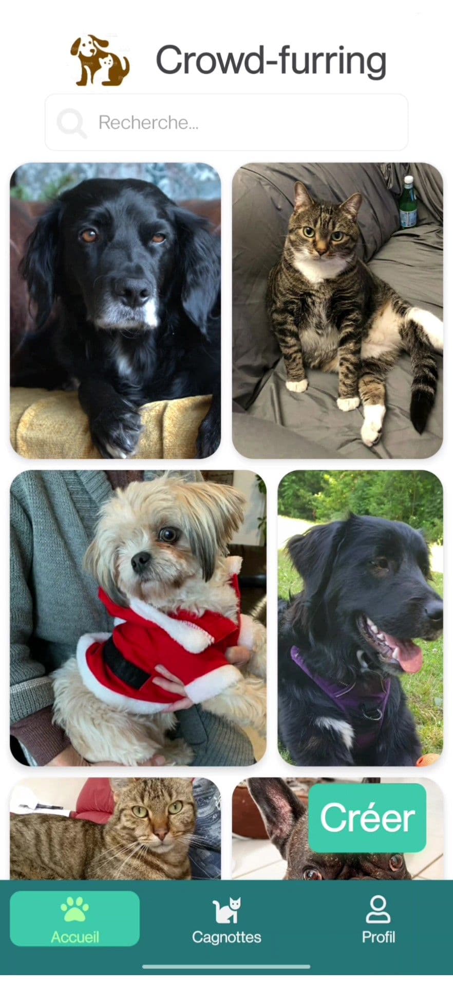 Home screen of the application crowd-furring