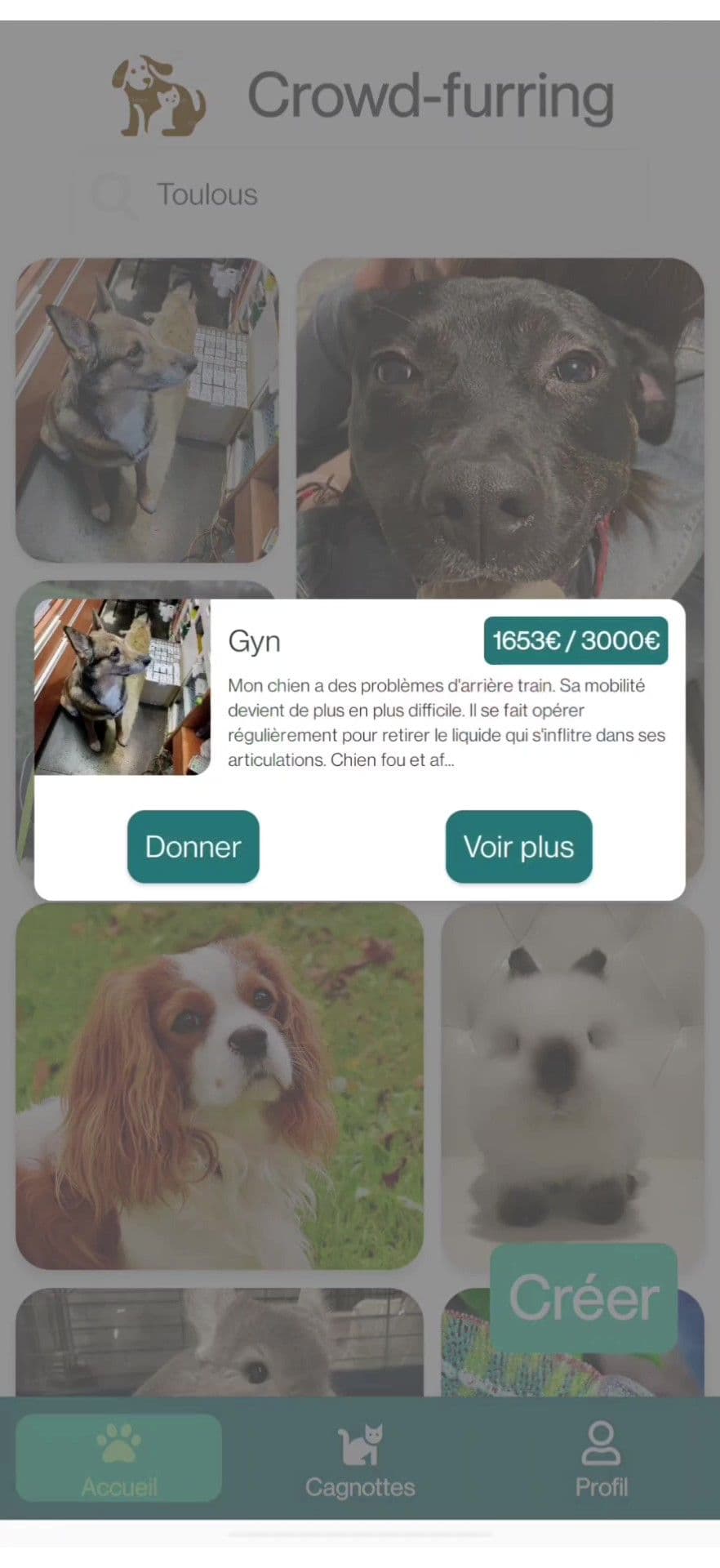 Preview of a pot of the application crowd-furring