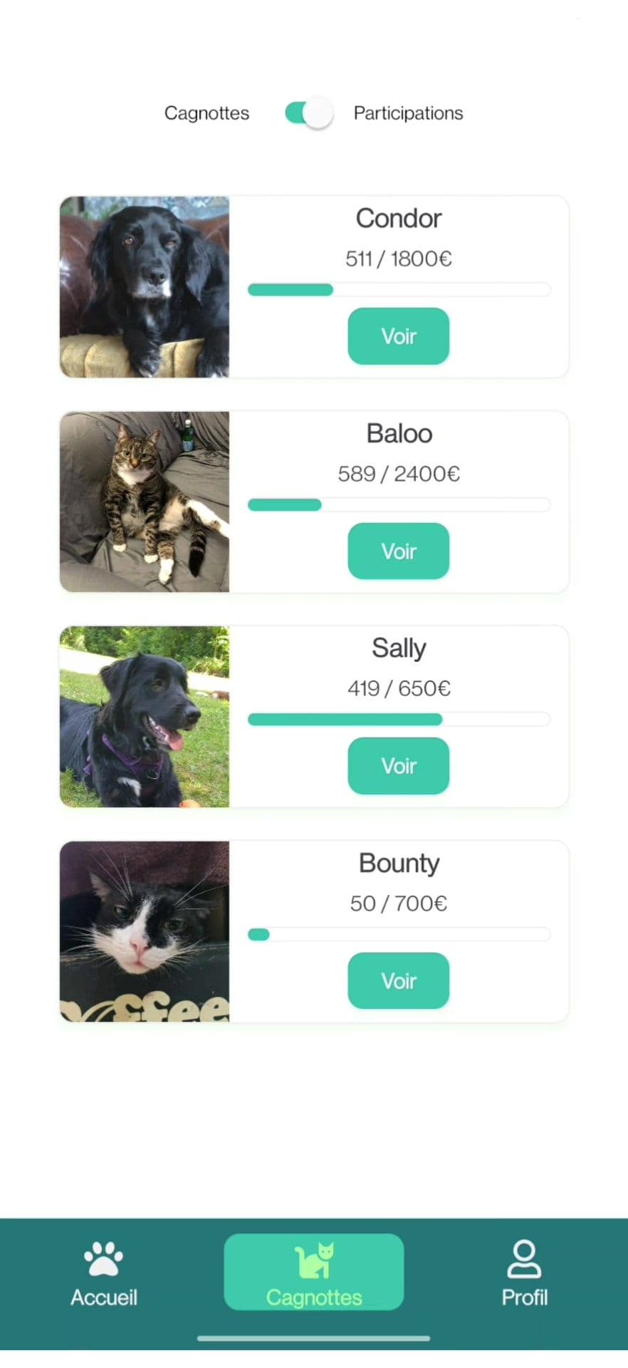 Dashboard screen of the application crowd-furring